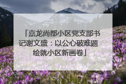 嘉龙尚都小区党支部书记谢文盛：以公心破难题 绘就小区新画卷