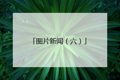 图片新闻（六）
