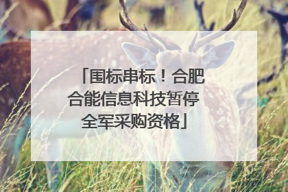 围标串标！合肥合能信息科技暂停全军采购资格