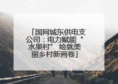 国网城东供电支公司：电力赋能“水果村” 绘就美丽乡村新画卷