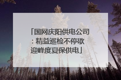 国网庆阳供电公司：精益巡检不停歇 迎峰度夏保供电
