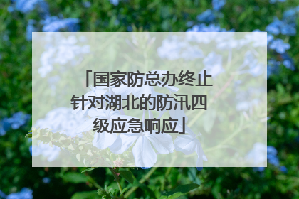 国家防总办终止针对湖北的防汛四级应急响应