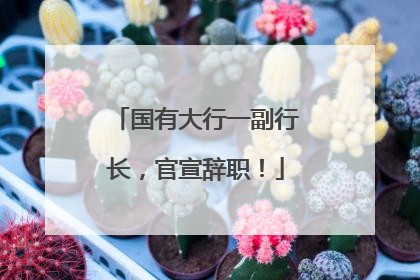 国有大行一副行长，官宣辞职！