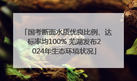 国考断面水质优良比例、达标率均100% 芜湖发布2024年生态环境状况