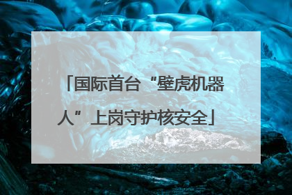 国际首台“壁虎机器人”上岗守护核安全