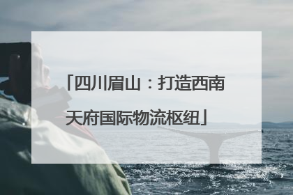 四川眉山：打造西南天府国际物流枢纽