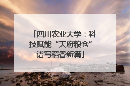 四川农业大学：科技赋能“天府粮仓”谱写稻香新篇