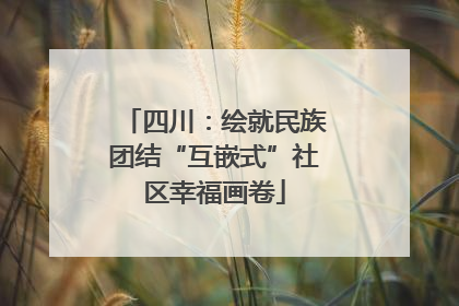 四川：绘就民族团结“互嵌式”社区幸福画卷