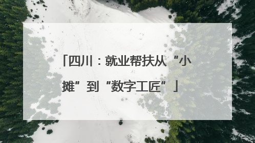四川：就业帮扶从“小摊”到“数字工匠”