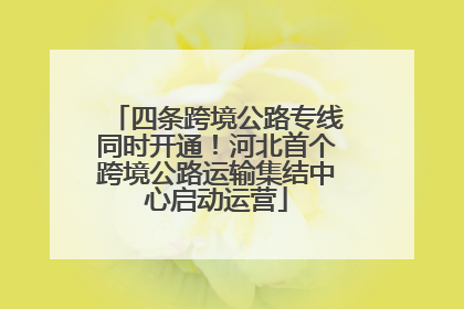 四条跨境公路专线同时开通！河北首个跨境公路运输集结中心启动运营