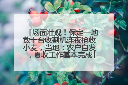 场面壮观！保定一地数十台收割机连夜抢收小麦，当地：农户自发，夏收工作基本完成