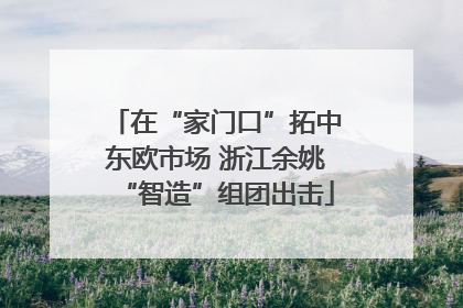 在“家门口”拓中东欧市场 浙江余姚“智造”组团出击