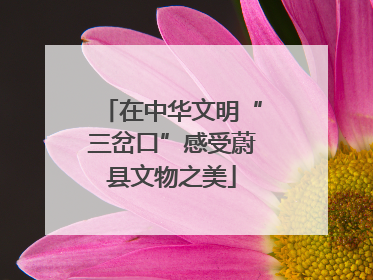 在中华文明“三岔口”感受蔚县文物之美
