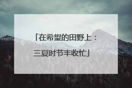 在希望的田野上：三夏时节丰收忙