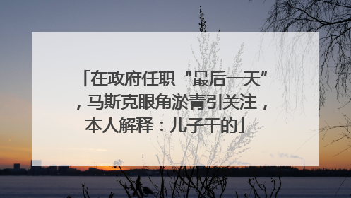 在政府任职“最后一天”，马斯克眼角淤青引关注，本人解释：儿子干的