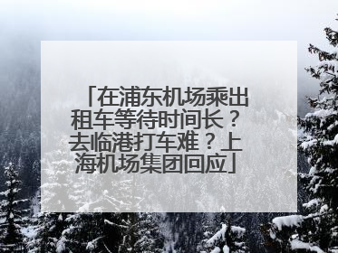 在浦东机场乘出租车等待时间长？去临港打车难？上海机场集团回应