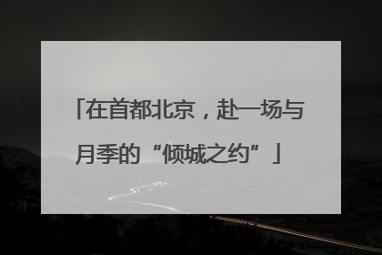 在首都北京，赴一场与月季的“倾城之约”