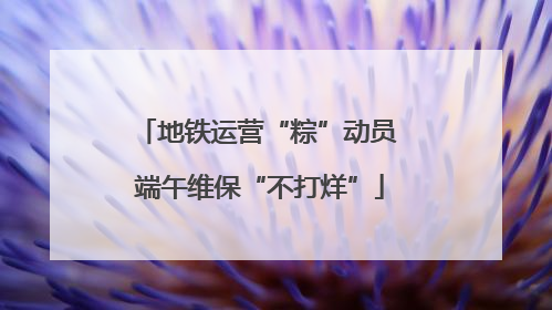 地铁运营“粽”动员 端午维保“不打烊”