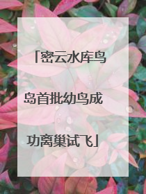密云水库鸟岛首批幼鸟成功离巢试飞