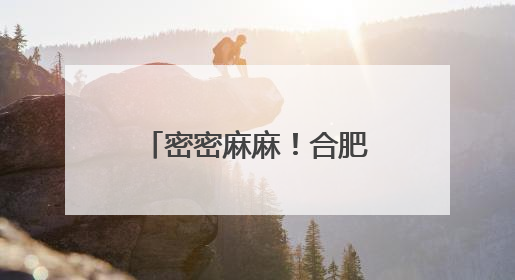 密密麻麻！合肥最近频现的“虫卷风”是啥？