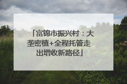 富锦市振兴村：大垄密植+全程托管走出增收新路径