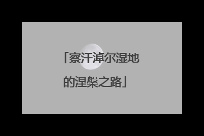 察汗淖尔湿地的涅槃之路