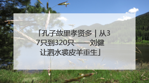 孔子故里孝贤多｜从37只到320只——刘健让泗水裘皮羊重生