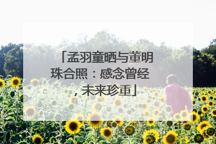 孟羽童晒与董明珠合照：感念曾经，未来珍重