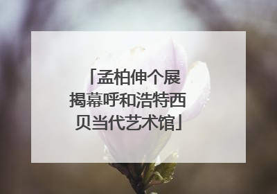 孟柏伸个展 揭幕呼和浩特西贝当代艺术馆