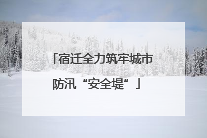 宿迁全力筑牢城市防汛“安全堤”