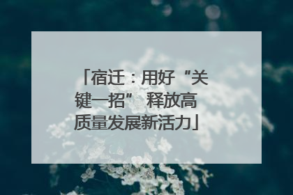 宿迁：用好“关键一招” 释放高质量发展新活力