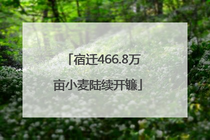 宿迁466.8万亩小麦陆续开镰