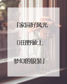 家园好风光 ⎮田野披上梦幻的银装