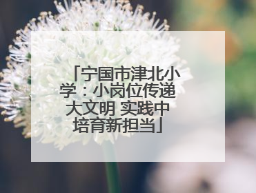 宁国市津北小学：小岗位传递大文明 实践中培育新担当