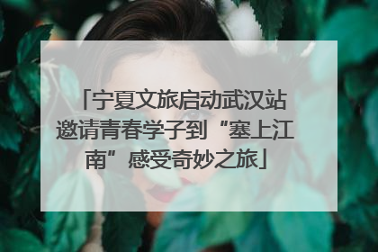宁夏文旅启动武汉站 邀请青春学子到“塞上江南”感受奇妙之旅