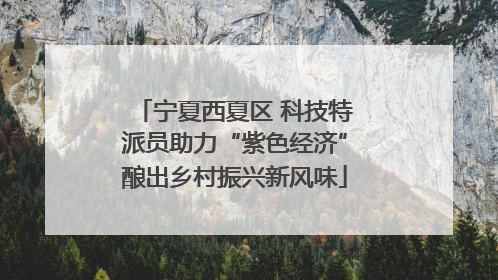 宁夏西夏区 科技特派员助力“紫色经济”酿出乡村振兴新风味