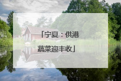 宁夏：供港蔬菜迎丰收