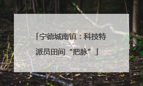 宁德城南镇：科技特派员田间“把脉”