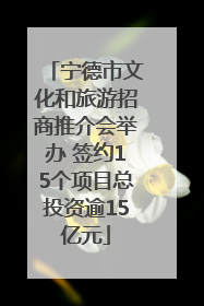 宁德市文化和旅游招商推介会举办 签约15个项目总投资逾15亿元