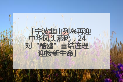宁波韭山列岛再迎中华凤头燕鸥，24对“酷鸥”喜结连理迎接新生命