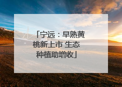 宁远：早熟黄桃新上市 生态种植助增收