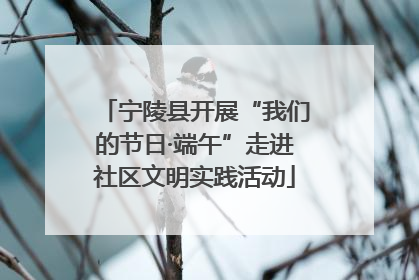 宁陵县开展“我们的节日·端午”走进社区文明实践活动