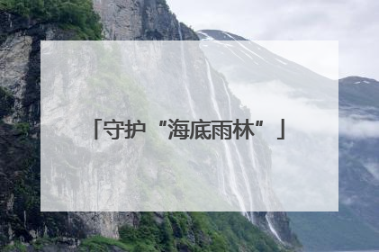 守护“海底雨林”