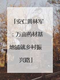 安仁黄林军：万亩药材基地铺就乡村振兴路