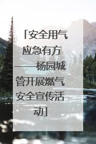 安全用气 应急有方——杨园城管开展燃气安全宣传活动
