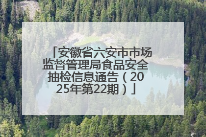 安徽省六安市市场监督管理局食品安全抽检信息通告（2025年第22期）