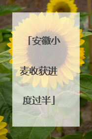 安徽小麦收获进度过半