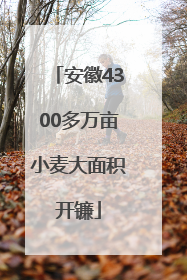 安徽4300多万亩小麦大面积开镰