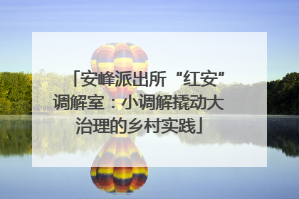 安峰派出所“红安”调解室：小调解撬动大治理的乡村实践