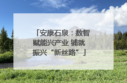 安康石泉：数智赋能兴产业 铺就振兴“新丝路”